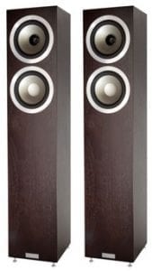 Tannoy Revolution DC6T espresso