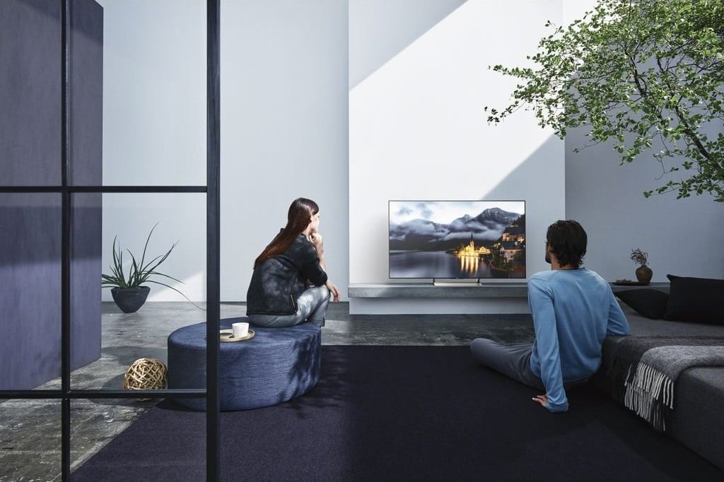 Sony KD-49XE9005 - lifestyle - Televisie