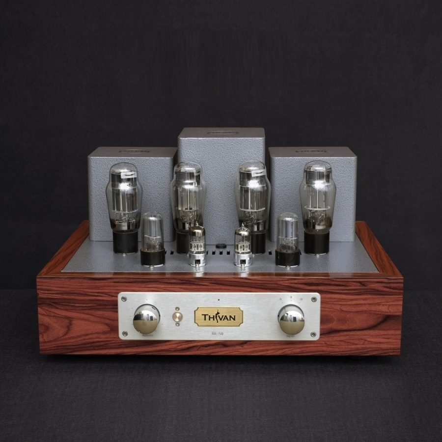 ThivanLabs Robin DL-50 - Stereo versterker