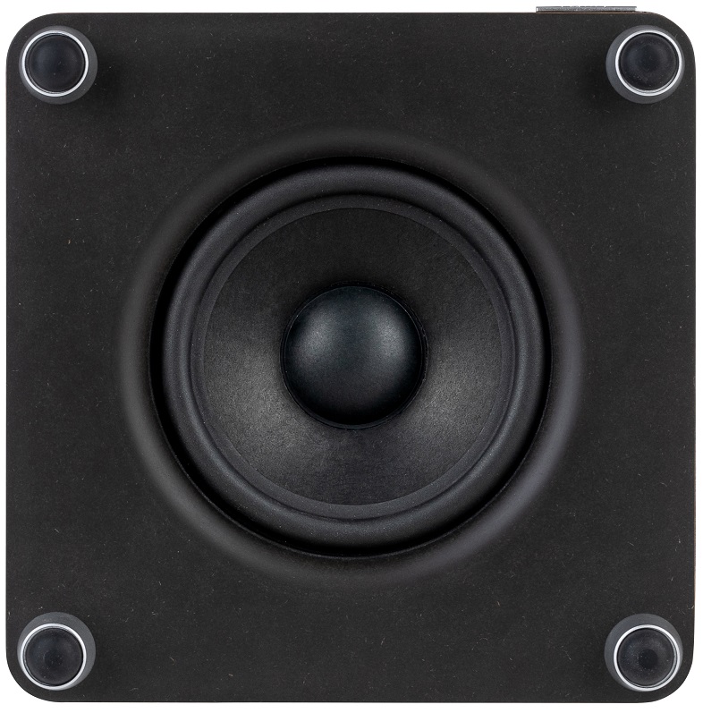 Ruark Audio RS1 rich walnut - Subwoofer