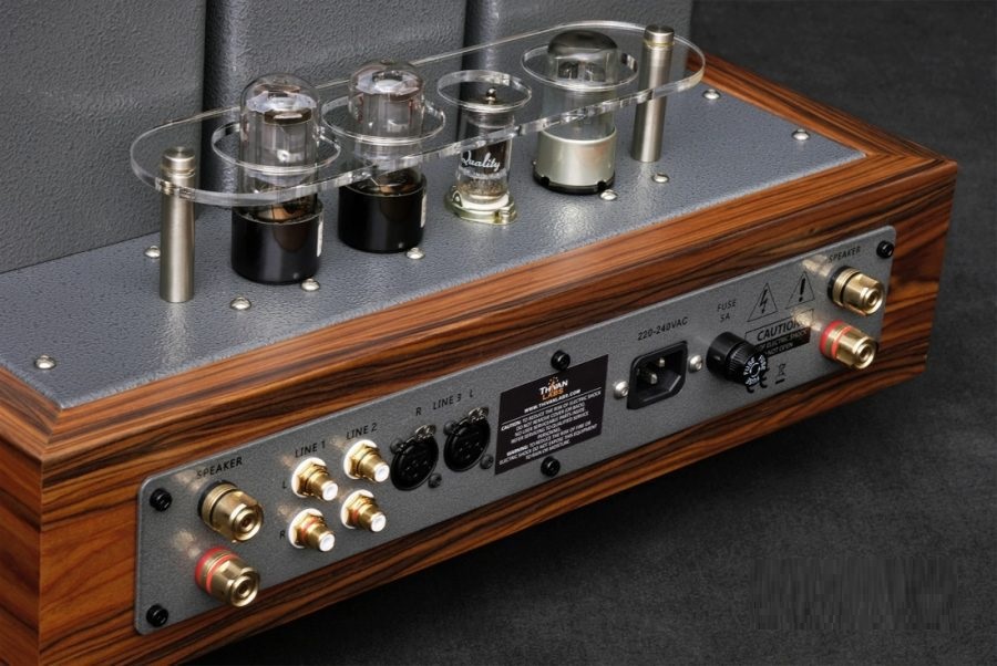 ThivanLabs Lion 805A - Stereo versterker