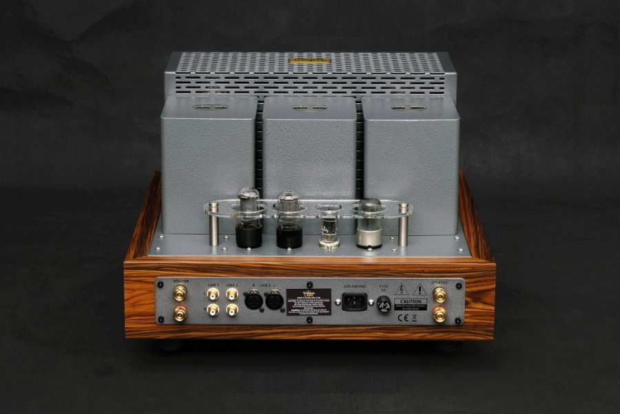 ThivanLabs Lion 805A - Stereo versterker