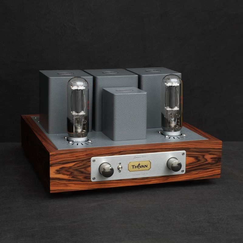 ThivanLabs Swan 211 - Stereo versterker