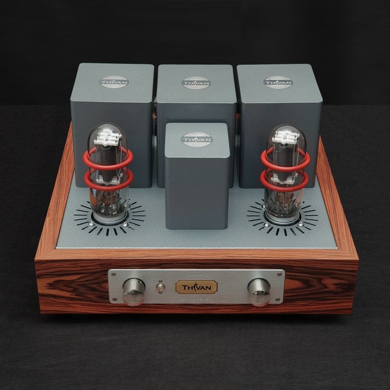 ThivanLabs Swan 211 - Stereo versterker