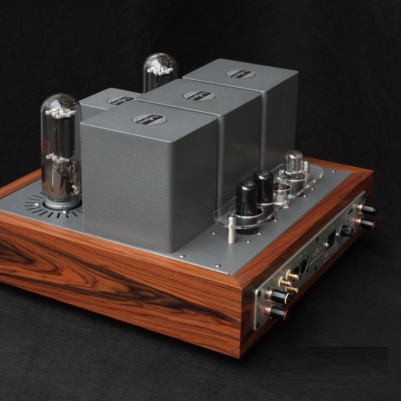 ThivanLabs Swan 211 - Stereo versterker