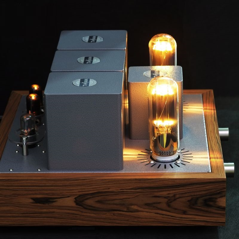 ThivanLabs Swan 211 - Stereo versterker