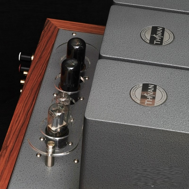 ThivanLabs Swan 211 - Stereo versterker