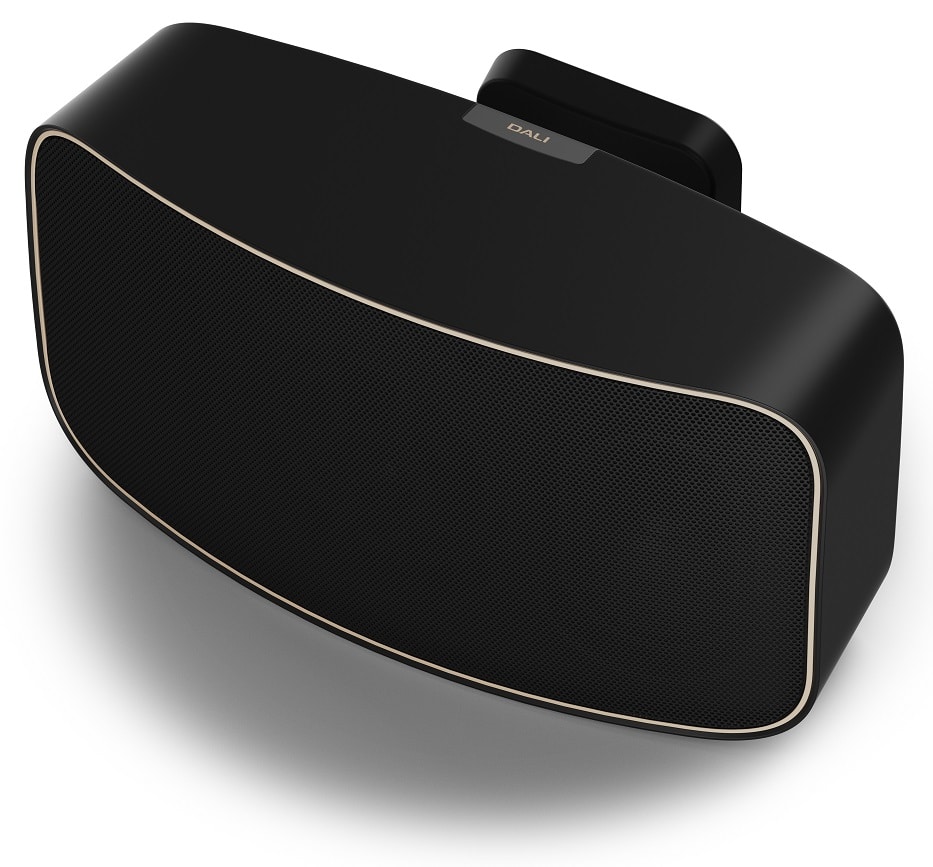 Dali Gardian OW 6 zwart - Outdoor speaker