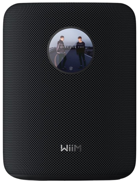 WiiM Sound zwart - Wifi speaker