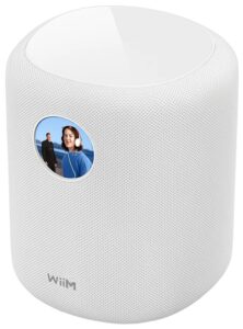 WiiM Sound wit