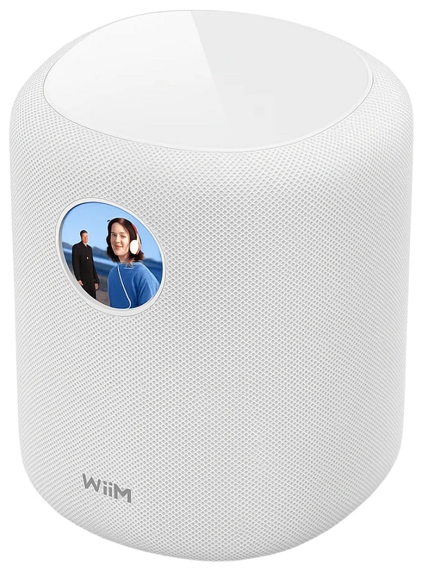 WiiM Sound wit - Wifi speaker