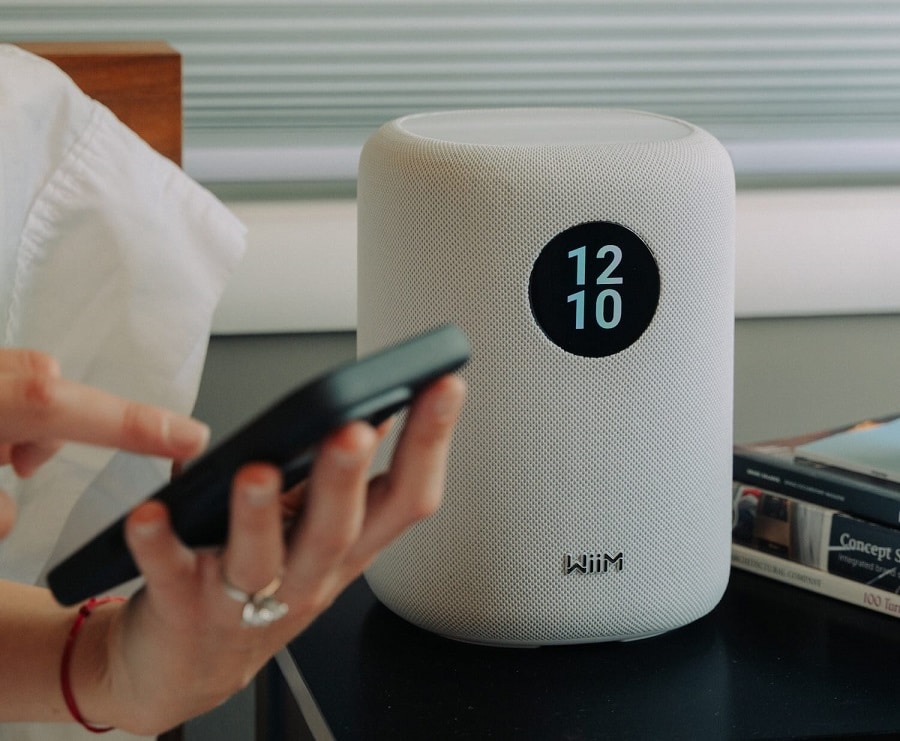 WiiM Sound wit - Wifi speaker