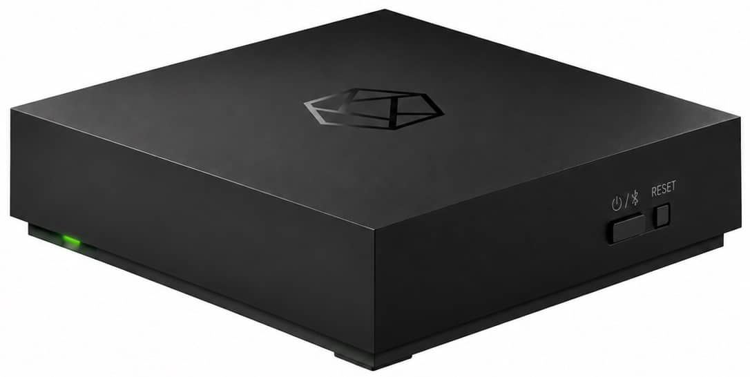 HiFi ROSE RW800 zwart - Audio streamer